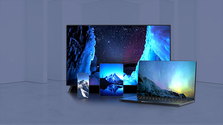 ŷ½ע�����