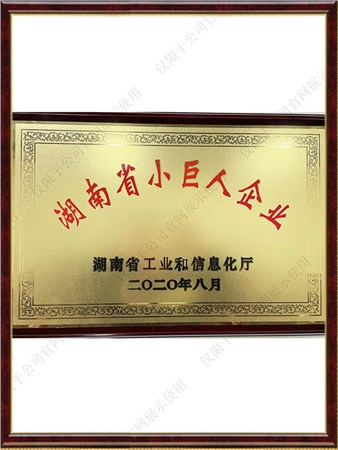 ����ʡС������ҵ